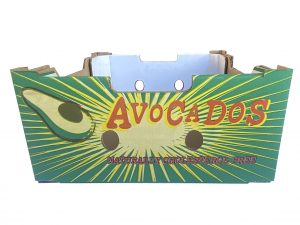 Avocado Carton – Generic