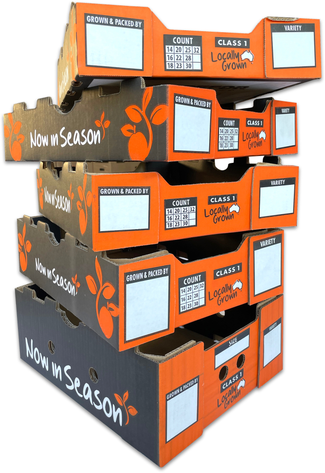 5 Fruit Packaging cardboard cartons stacked up high in black and orange