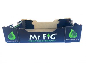 Custom Print Fig Box