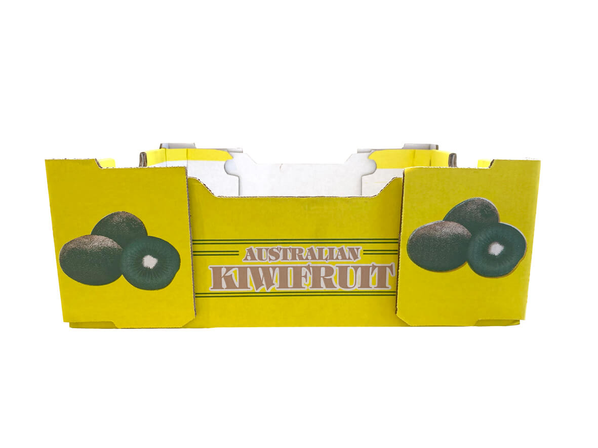 Kiwi Fruit Box P84